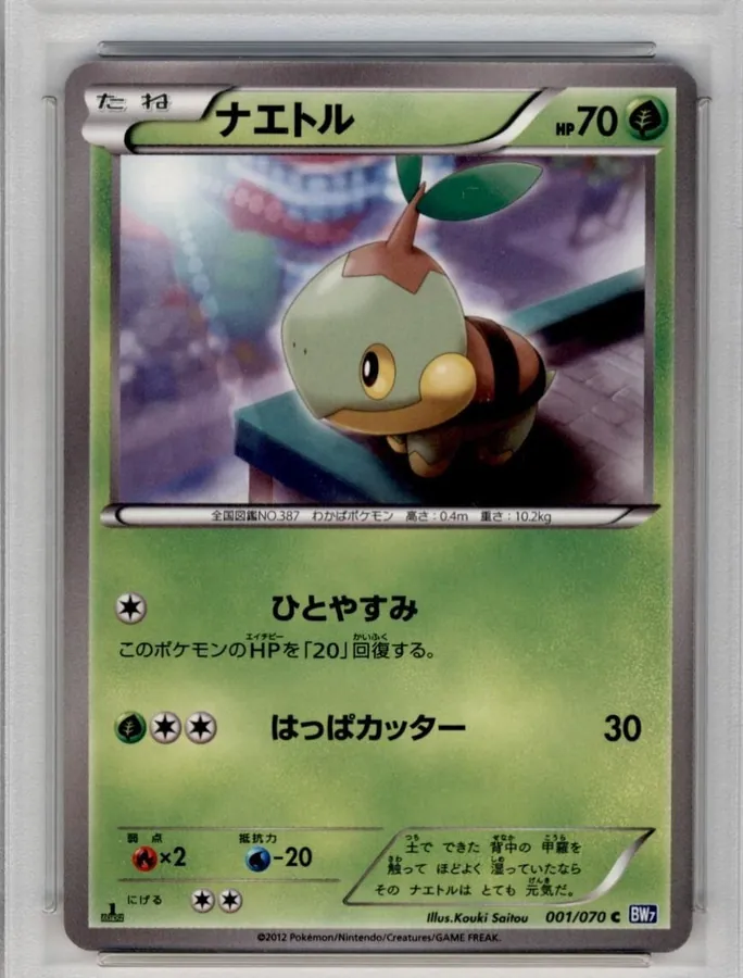 Turtwig [1st-Edition]